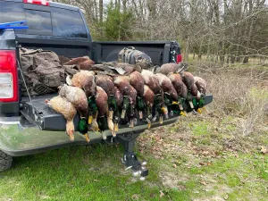 Clarksville, TX 75426