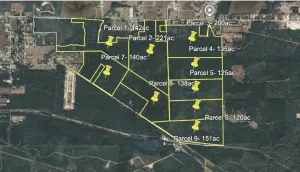 Sour Lake, TX 77659