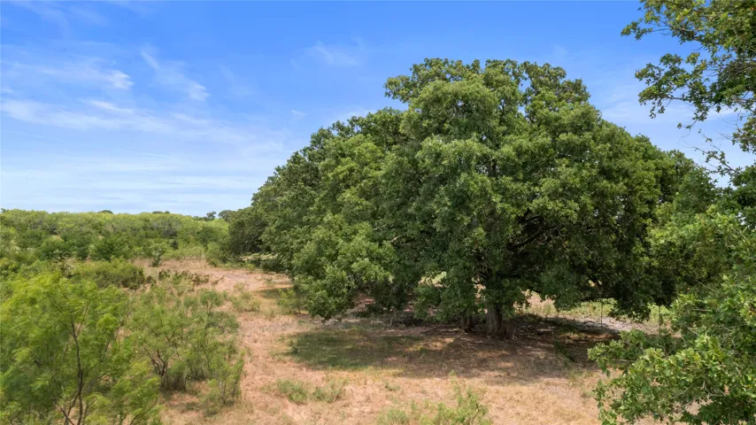 Kemp, TX 75143