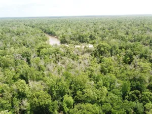 Orange, TX 77614