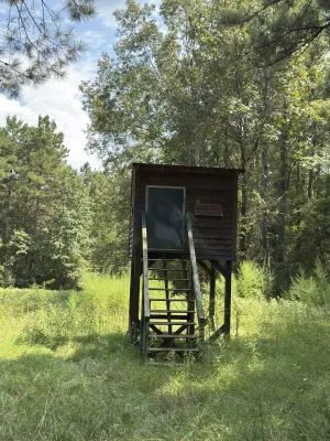 Garrison, TX 75946