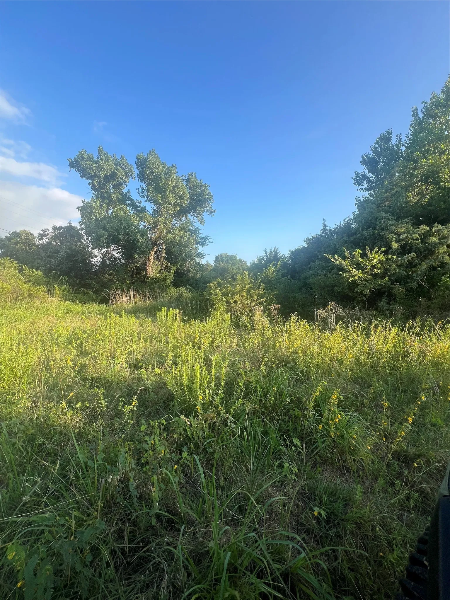 Decatur, TX 76234