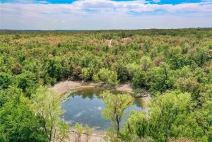 Perrin, TX 76486