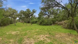 Hallettsville, TX 77964
