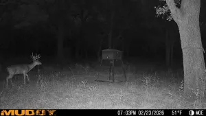 Graford, TX 76449
