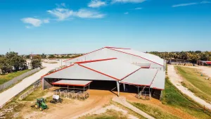 Stephenville, TX 76401