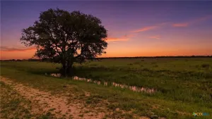 Hallettsville, TX 77964