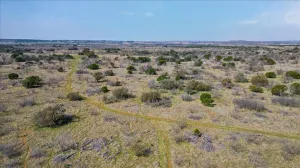 Graford, TX 76449