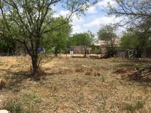 Coleman, TX 76834