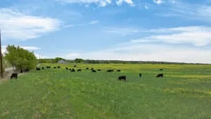 Granbury, TX 76049