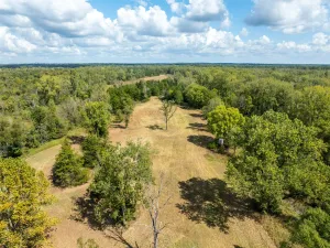 Bagwell, TX 75412