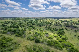 Hamilton, TX 76531