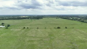 Mabank, TX 75147