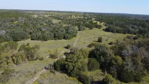 Carlton, TX 76436