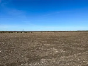 Clarksville, TX 75426