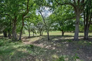 Purmela, TX 76566