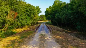 Sulphur Springs, TX 75482