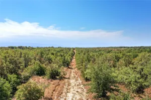 Perrin, TX 76486