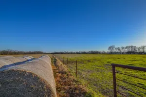 Point, TX 75472