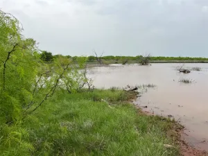 Bellevue, TX 76228