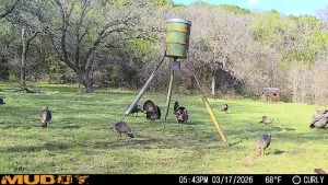 Graford, TX 76449