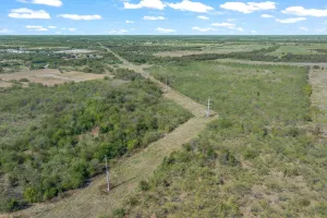 Terrell, TX 75160