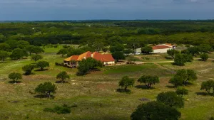 Hamilton, TX 76531