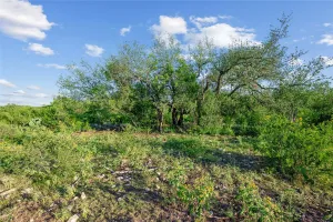 Uvalde, TX 78801
