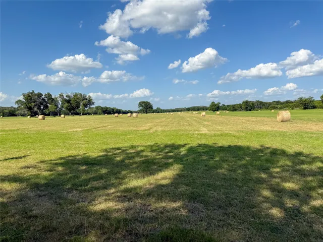 Meridian, TX 76665