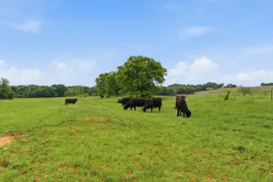 Granbury, TX 76048