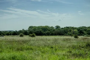 Henrietta, TX 76230
