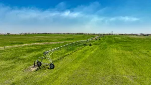Dublin, TX 76446