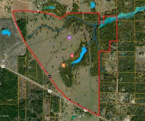 Winnsboro, TX 75494