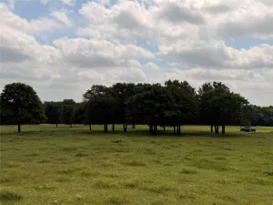 Whitesboro, TX 76273