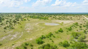 Carlton, TX 76436