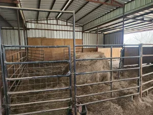Gunter, TX 75058