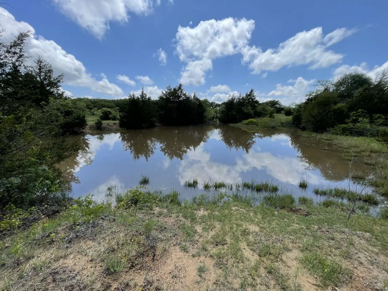 Chico, TX 76431