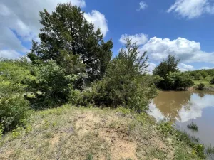 Chico, TX 76431