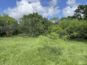 Chico, TX 76431