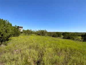 Carlton, TX 76436