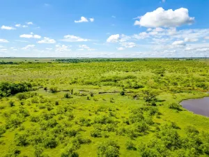 Bellevue, TX 76228