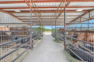 Whitesboro, TX 76273