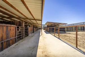 Sulphur Springs, TX 75482