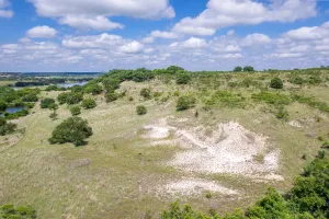 Hamilton, TX 76531