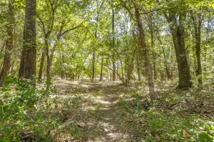 Greenville, TX 75401