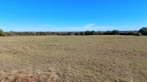 Gonzales, TX 78632