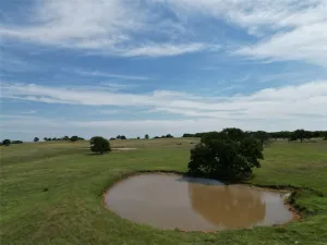 Nocona, TX 76255