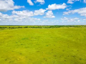 Bellevue, TX 76228