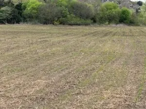 Waco, TX 76706