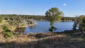 Gorman, TX 76454